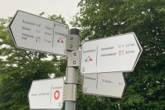 FB_IMG_1688399005621